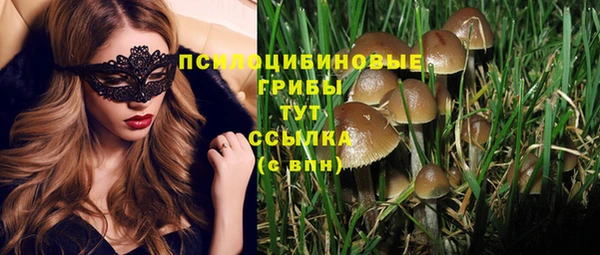 спайс Липки