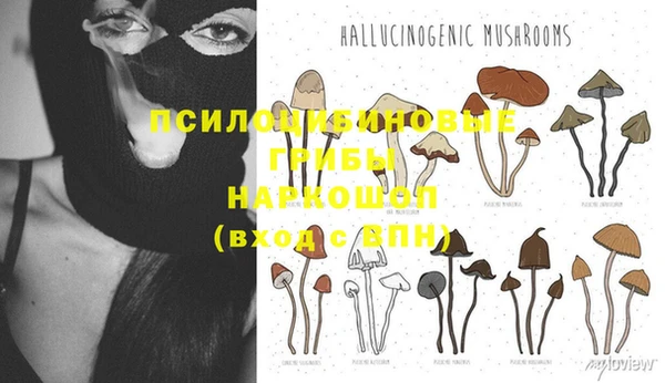 экстази Абаза